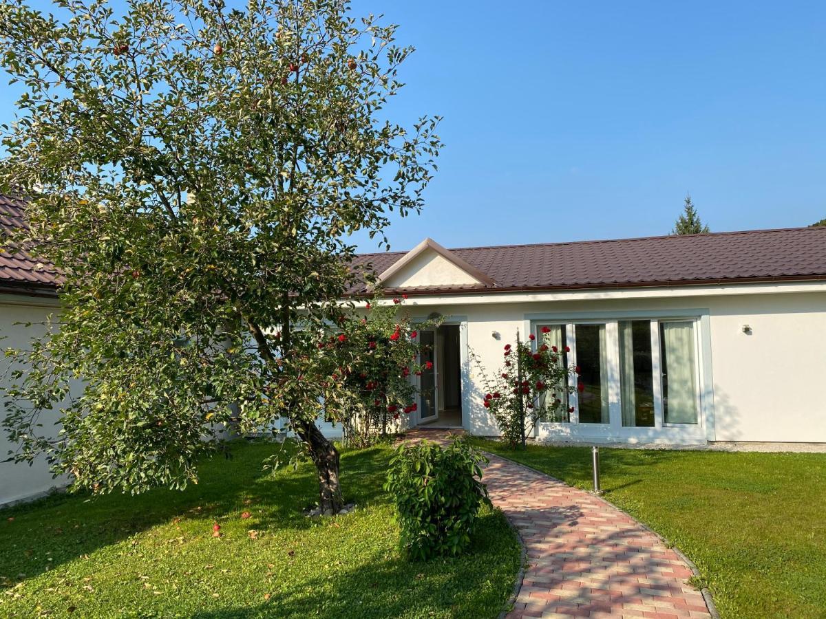 Pension Julia Banka Exterior photo
